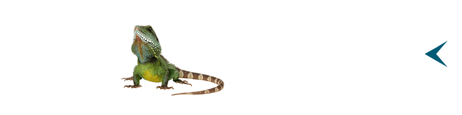 PrintStock